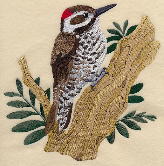 Arizona Woodpecker - Image 5