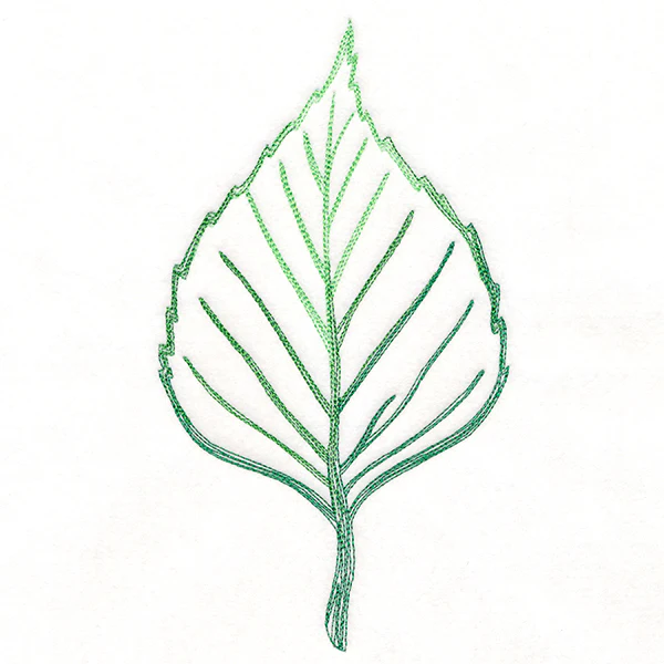 Autumn Ambience - Birch Leaf - Image 6