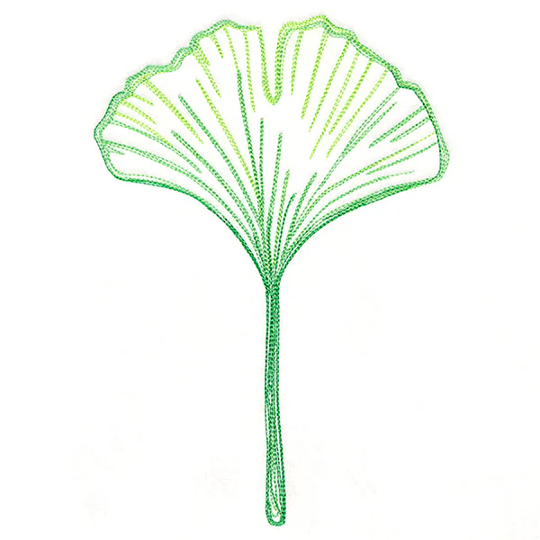 Autumn Ambience - Gingko Leaf - Image 6