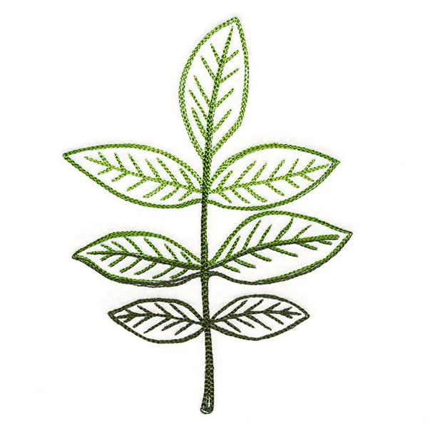 Autumn Ambience - Walnut Leaf - Image 3