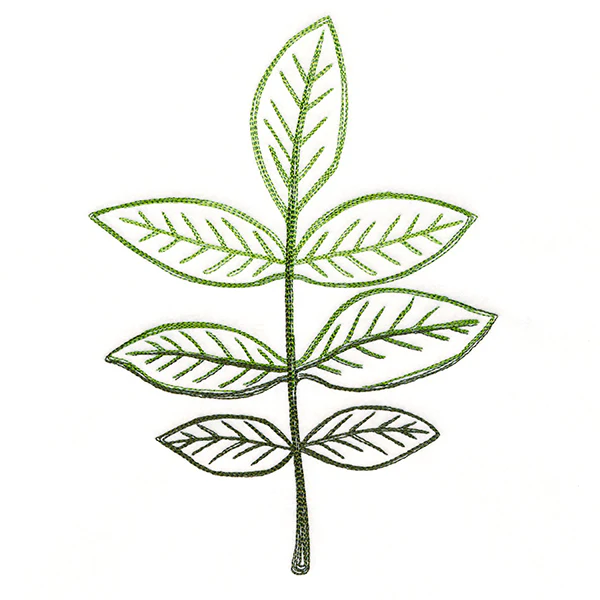 Autumn Ambience - Walnut Leaf - Image 6