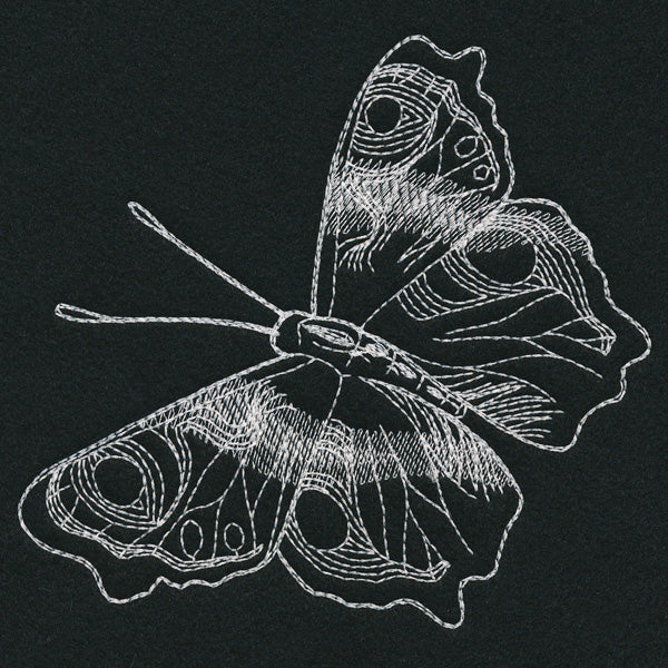 Autumn Glow - Butterfly - Image 5