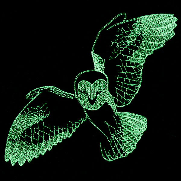 Autumn Glow - Owl - Image 2