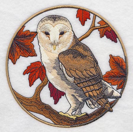 Barn Owl in Autumn - Image 3