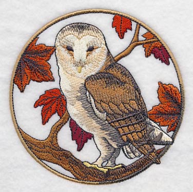 Barn Owl in Autumn - Image 4