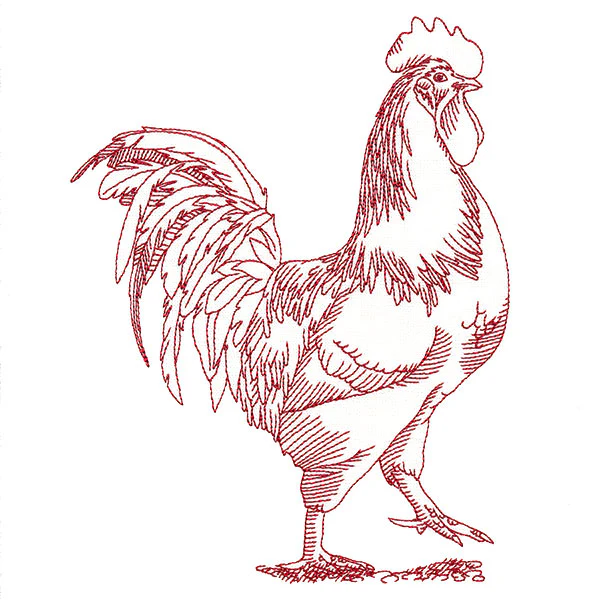 Barnyard Etchings - Rooster - Image 2