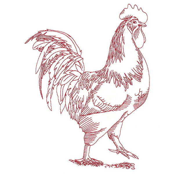 Barnyard Etchings - Rooster - Image 5