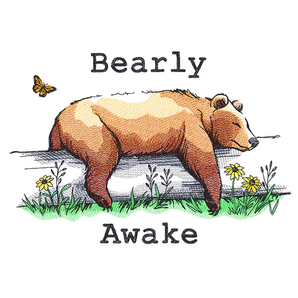 Bearly Awake - Image 5