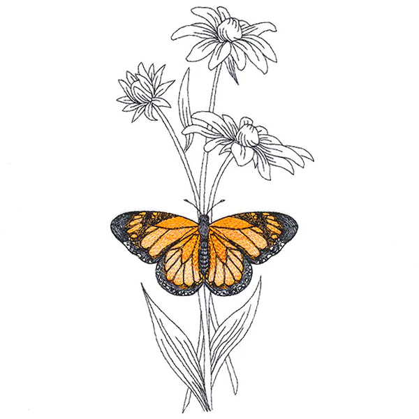 Beautiful Black-Eyed Susan and Monarch - Image 2