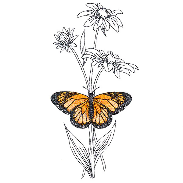 Beautiful Black-Eyed Susan and Monarch - Image 3