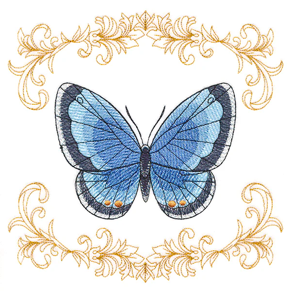Beautiful Butterfly in Filigree