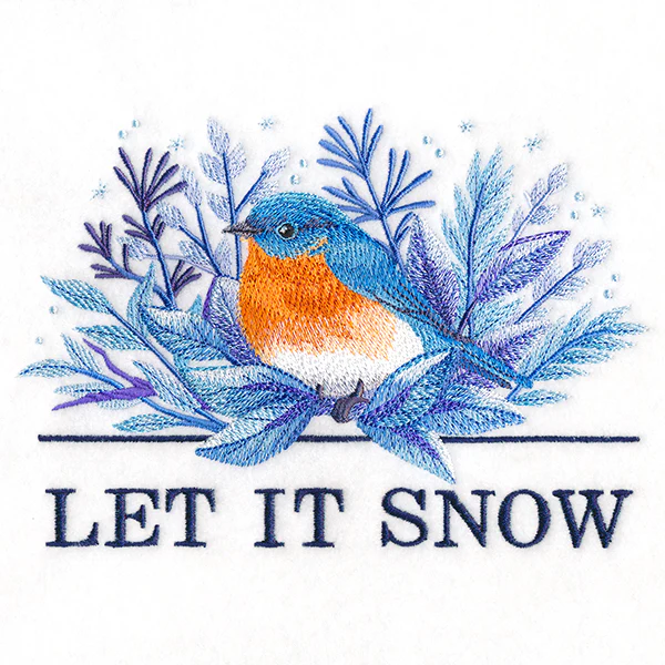 Beautiful Winter Bluebird - Image 7