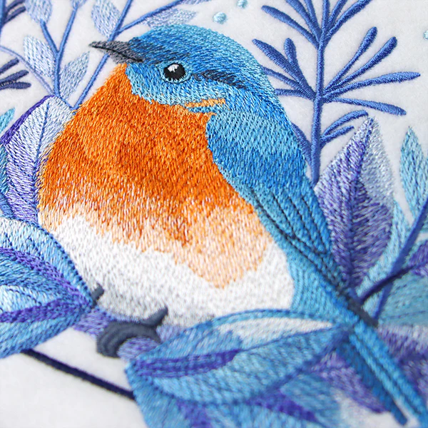 Beautiful Winter Bluebird - Image 9