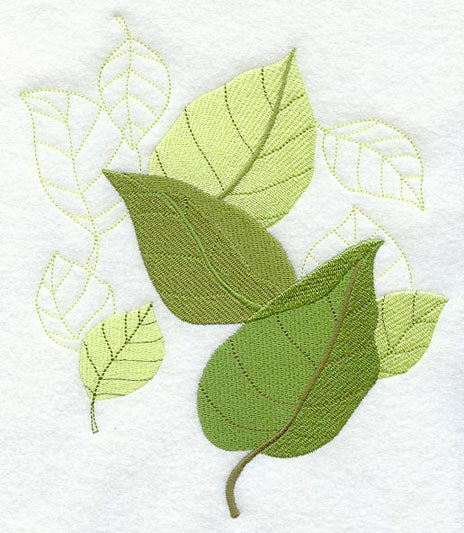 Beech Leaf Montage