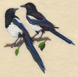 Black-Billed Magpie Pair - Image 2