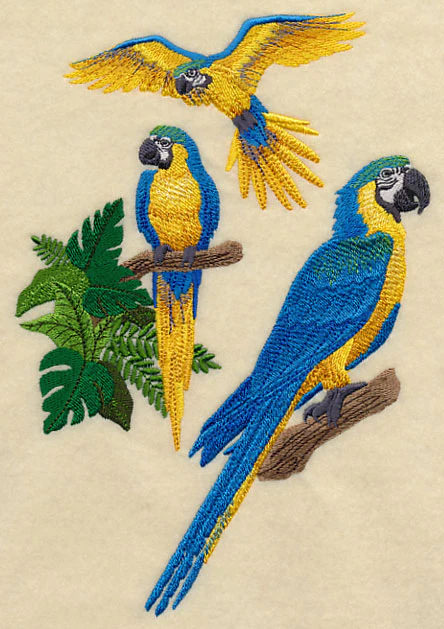 Blue-and-yellow Macaw Collage - Image 3