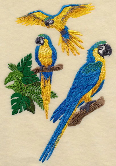 Blue-and-yellow Macaw Collage - Image 4