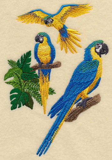 Blue-and-yellow Macaw Collage - Image 5
