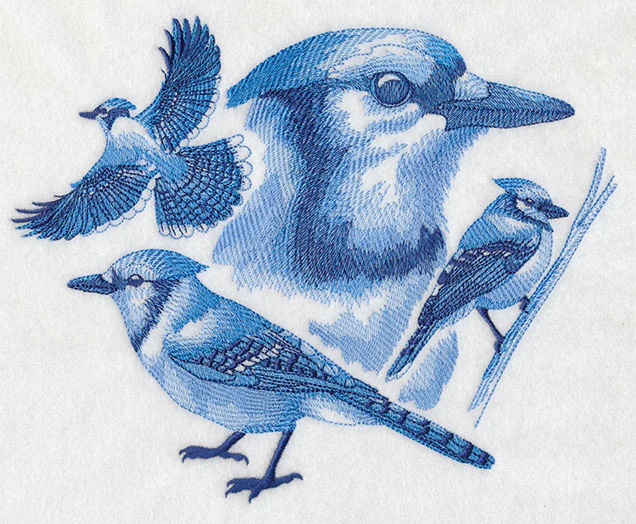 Blue Jay Sketch - Image 4