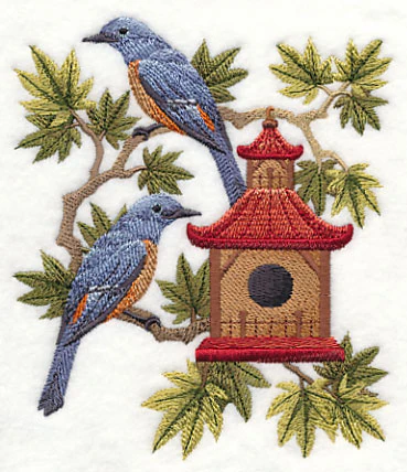 Blue Rock Thrushes and Birdhouse - Image 4
