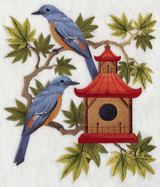 Blue Rock Thrushes and Birdhouse - Image 5