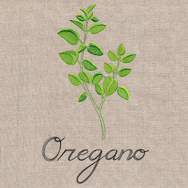 Botanical Herbs - Oregano - Image 6