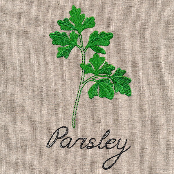 Botanical Herbs - Parsley - Image 4