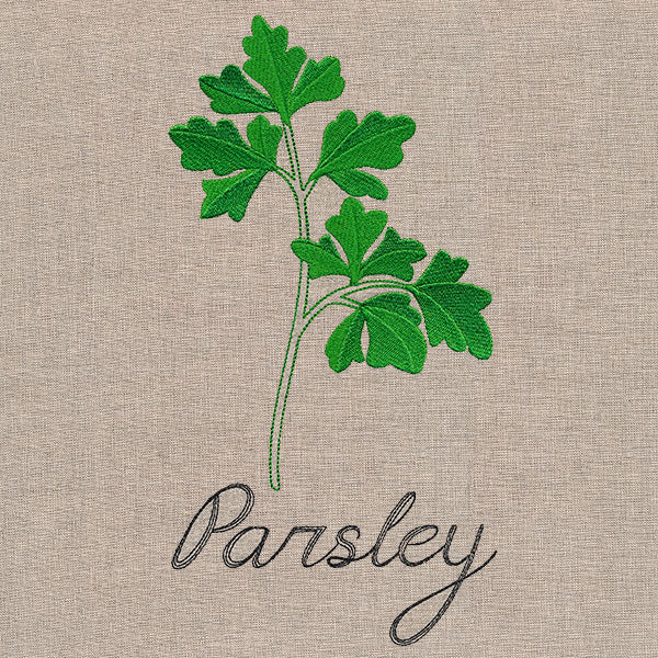 Botanical Herbs - Parsley - Image 6