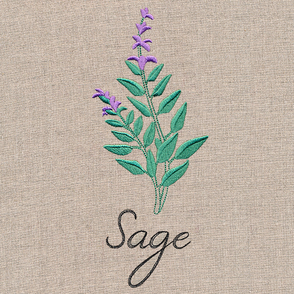 Botanical Herbs - Sage - Image 2