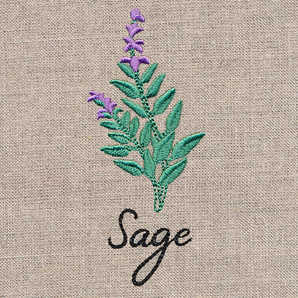 Botanical Herbs - Sage - Image 5