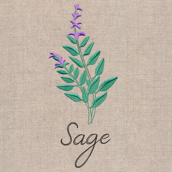 Botanical Herbs - Sage - Image 6
