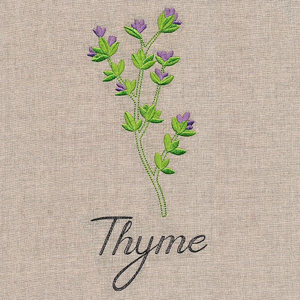 Botanical Herbs - Thyme - Image 2