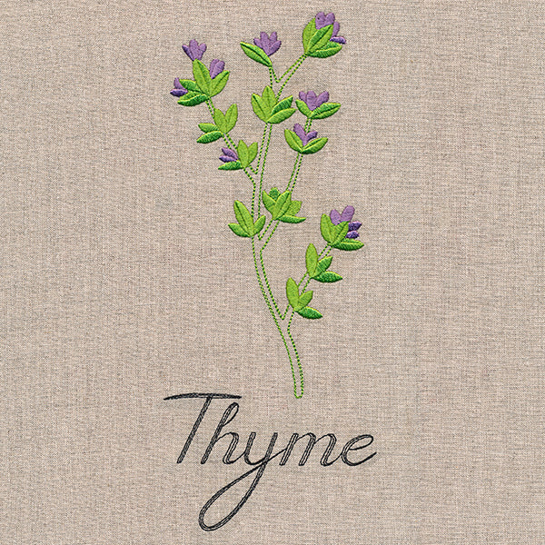 Botanical Herbs - Thyme - Image 6