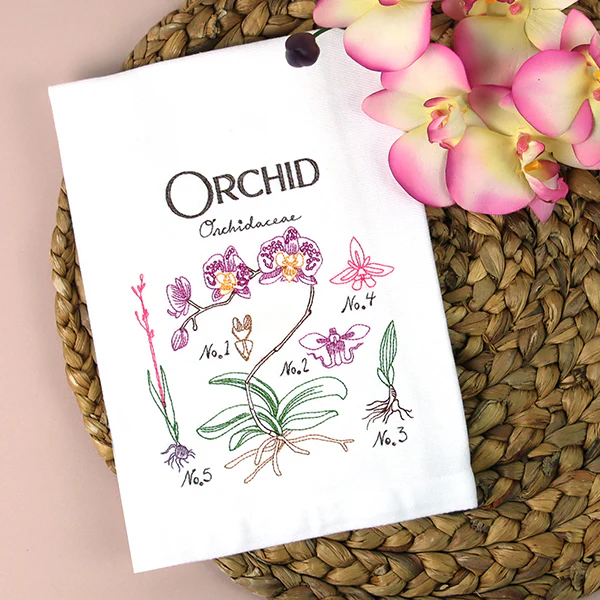 Botanical Illustrations - Orchid - Image 4