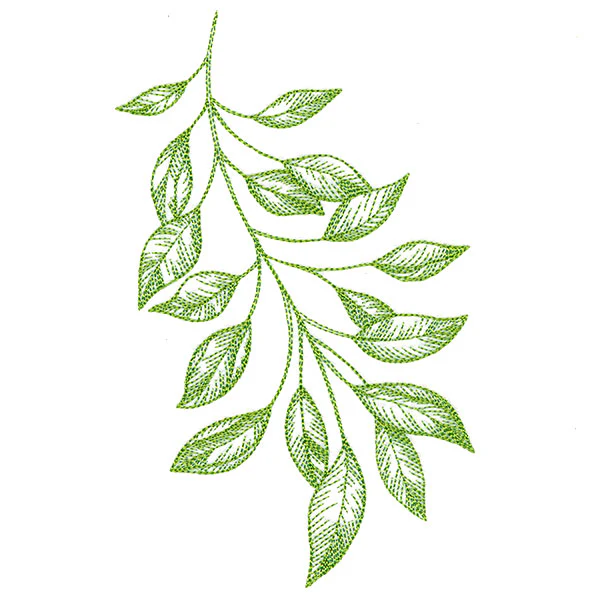 Branching Leaves Etching - Image 7