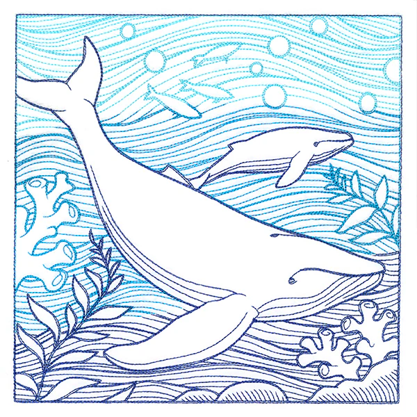 By The Seashore - Whale Etching - Image 5