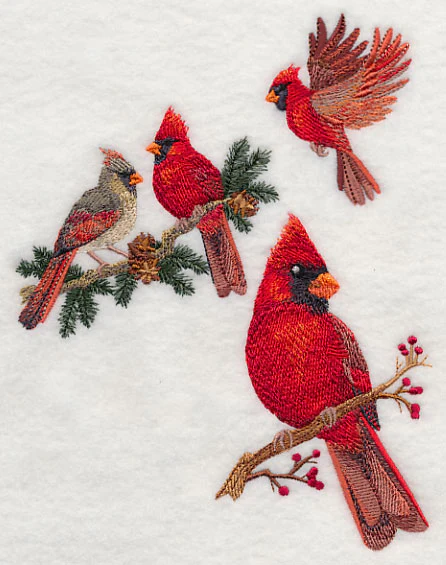Cardinal Collage - Image 3