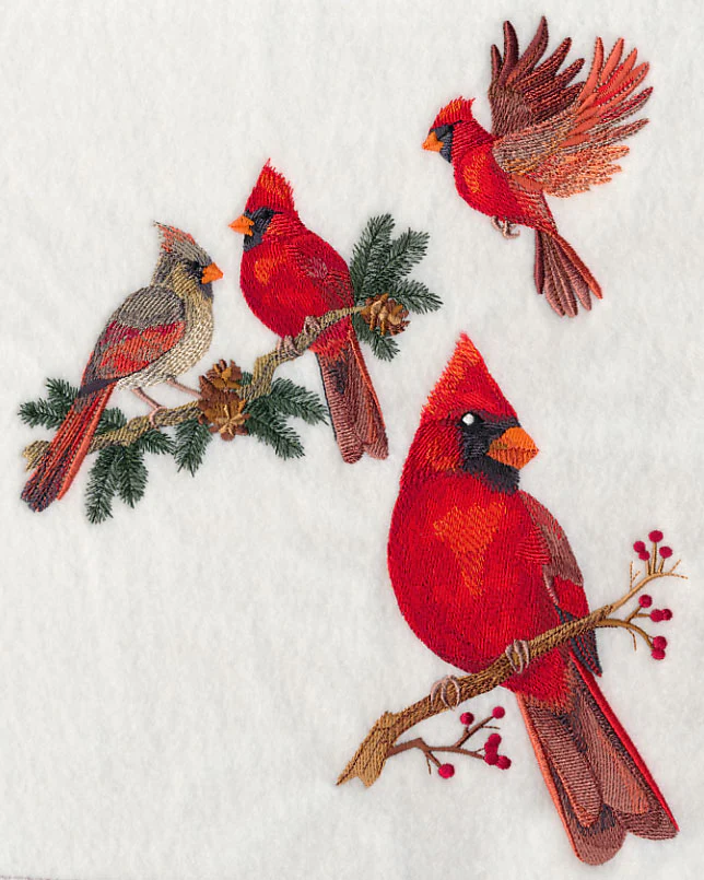 Cardinal Collage - Image 5