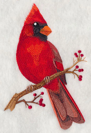 Cardinal on Berry Branch - Image 3