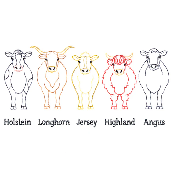 Cattle Breeds Border - Image 2