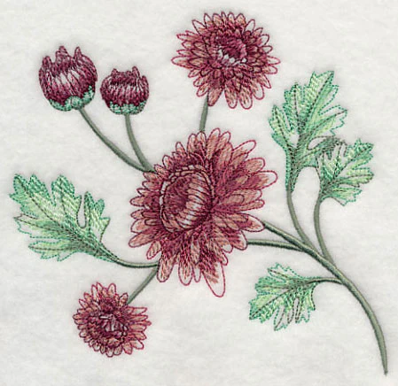 Classy Chrysanthemums 1 - Image 4