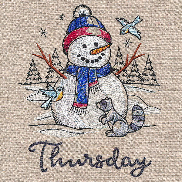 Country Snowman and Raccoon on Thursday - Image 3