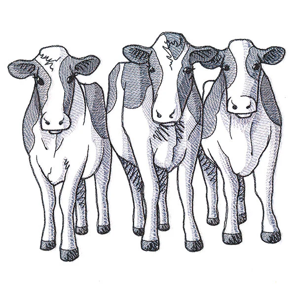 Cow Trio - Front - Image 3