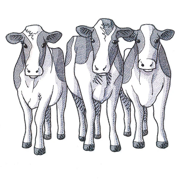 Cow Trio - Front - Image 7