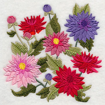 Dahlia Blossoms - Image 5