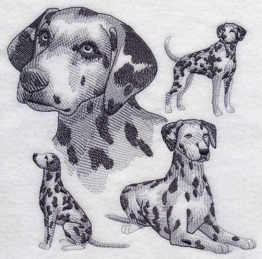 Dalmatian Sketch - Image 2