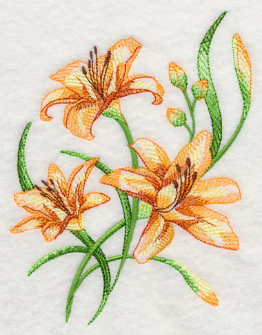 Delicate Daylilies 2 - Image 2