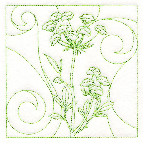 Delicate Wildflowers - Queen Anne's Lace - Image 4