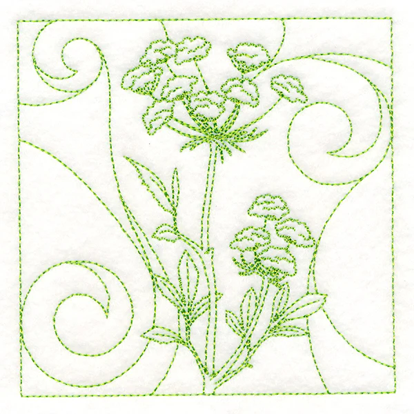 Delicate Wildflowers - Queen Anne's Lace - Image 5