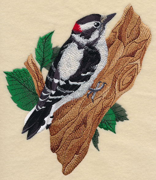 Downy Woodpecker - Image 4